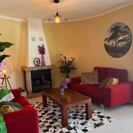Villa Casa Joli In Oliva With Private Pool And Stunning Views 외부 사진